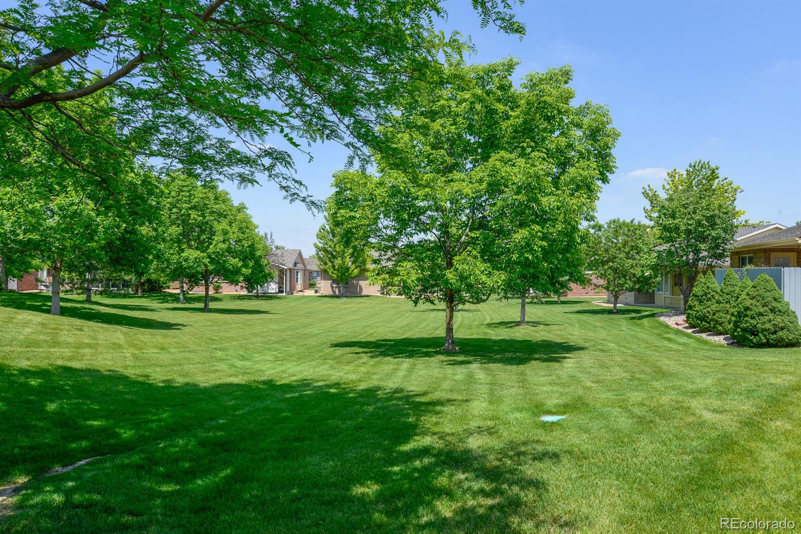 9027 Greenspointe Lane Highlands Ranch, CO 80130 - Photo 32 of 32