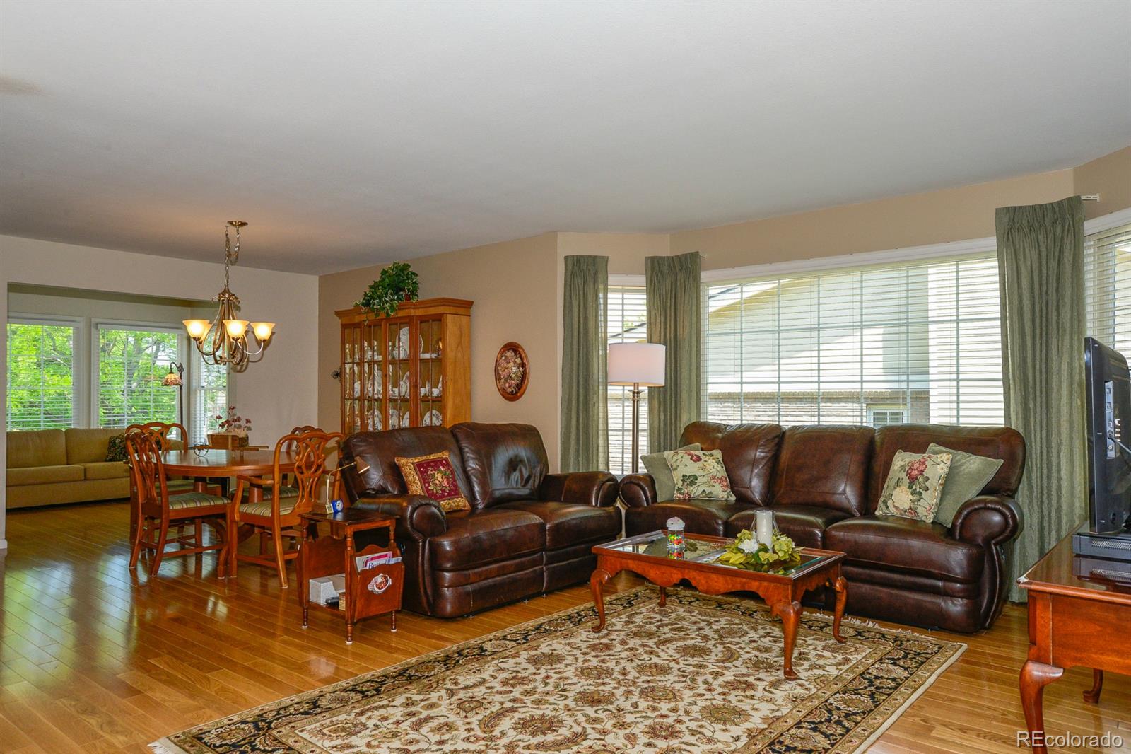 9027 Greenspointe Lane Highlands Ranch, CO 80130 - Photo 6 of 32