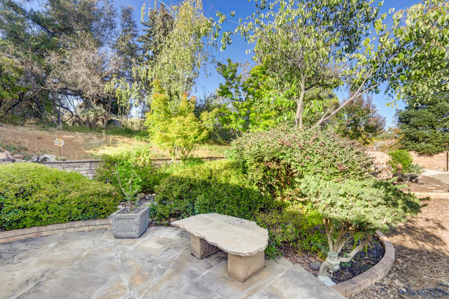 2952 Royce Drive Rescue, CA 95672 - Photo 50 of 70 Gallery Image 50