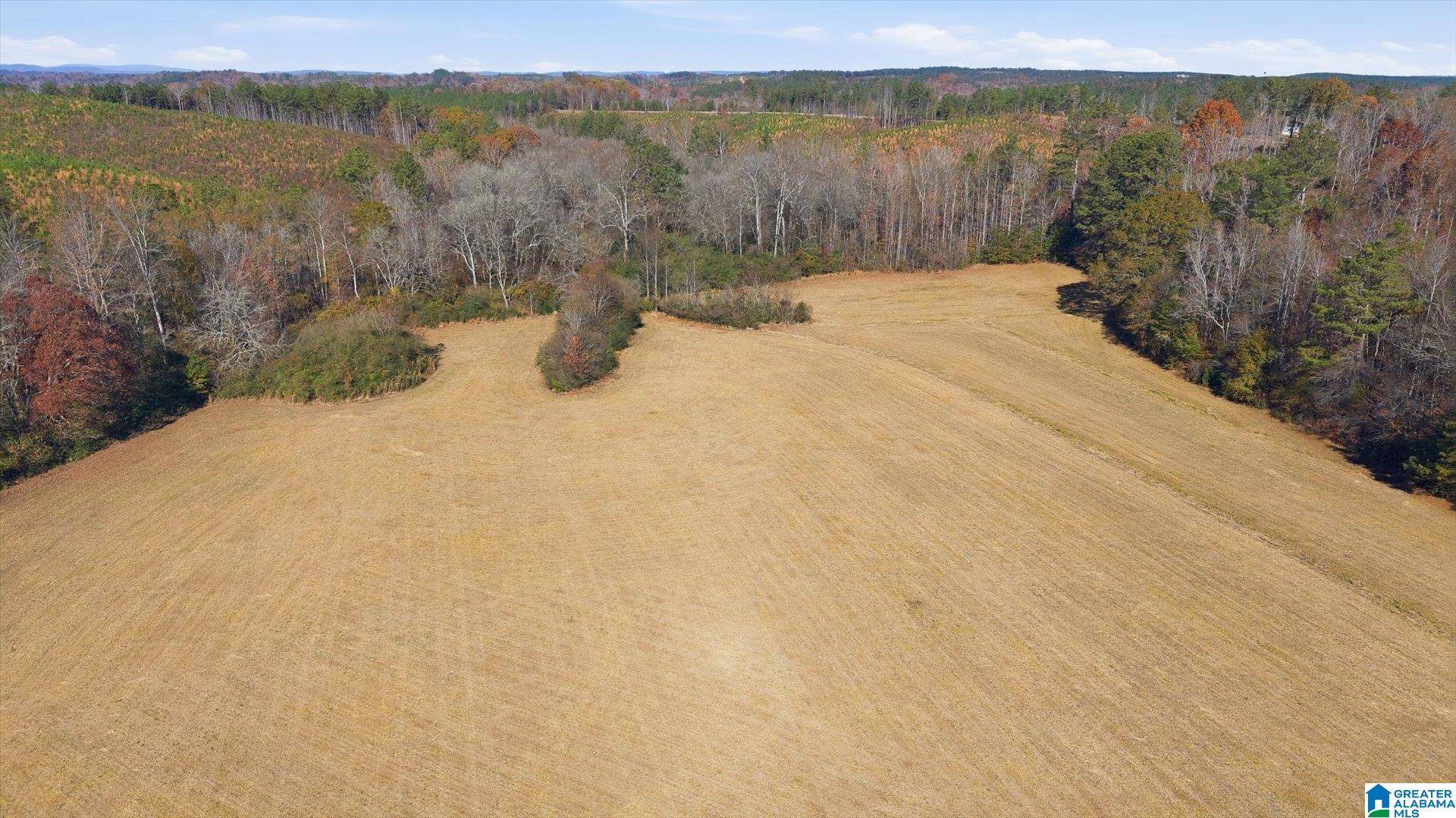 0 County Road 84 Heflin, AL 36264 - Photo 5 of 20
