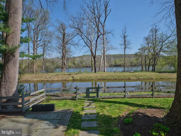a view of a yard with large tree