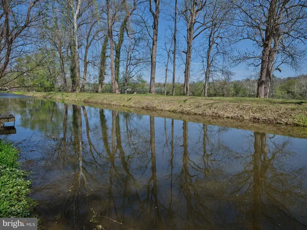 a view of backyard with green space