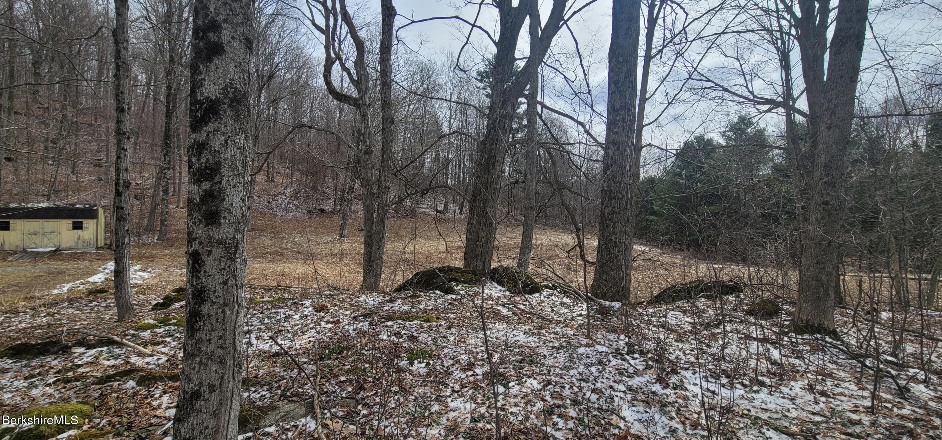14 East Road Stephentown, NY 12168 - Photo 20 of 23 East Rd 17 Open Yard