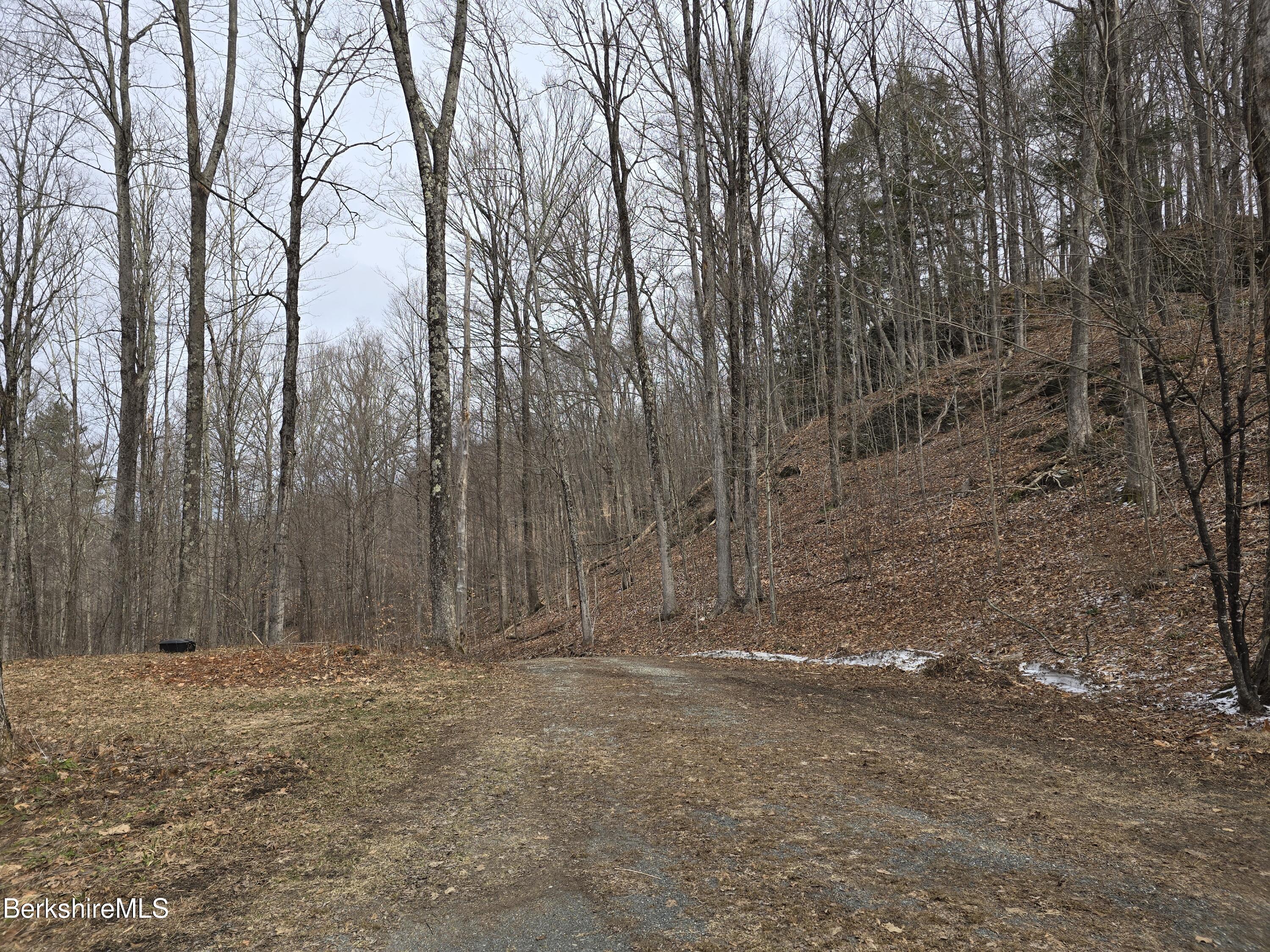 14 East Road Stephentown, NY 12168 - Photo 22 of 23 East Rd 19 Driveway and Parking
