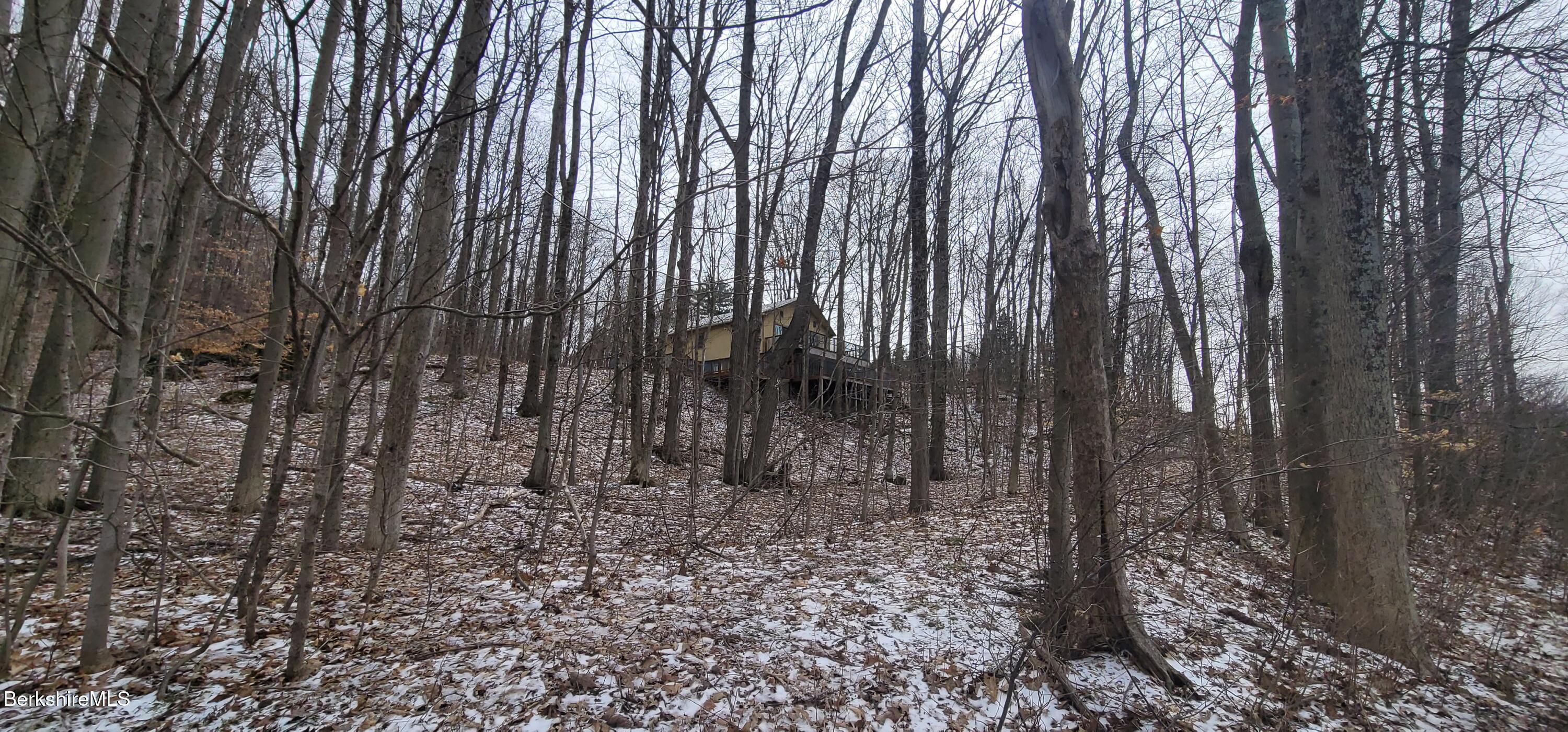 14 East Road Stephentown, NY 12168 - Photo 23 of 23 East Rd 20 from Driveway