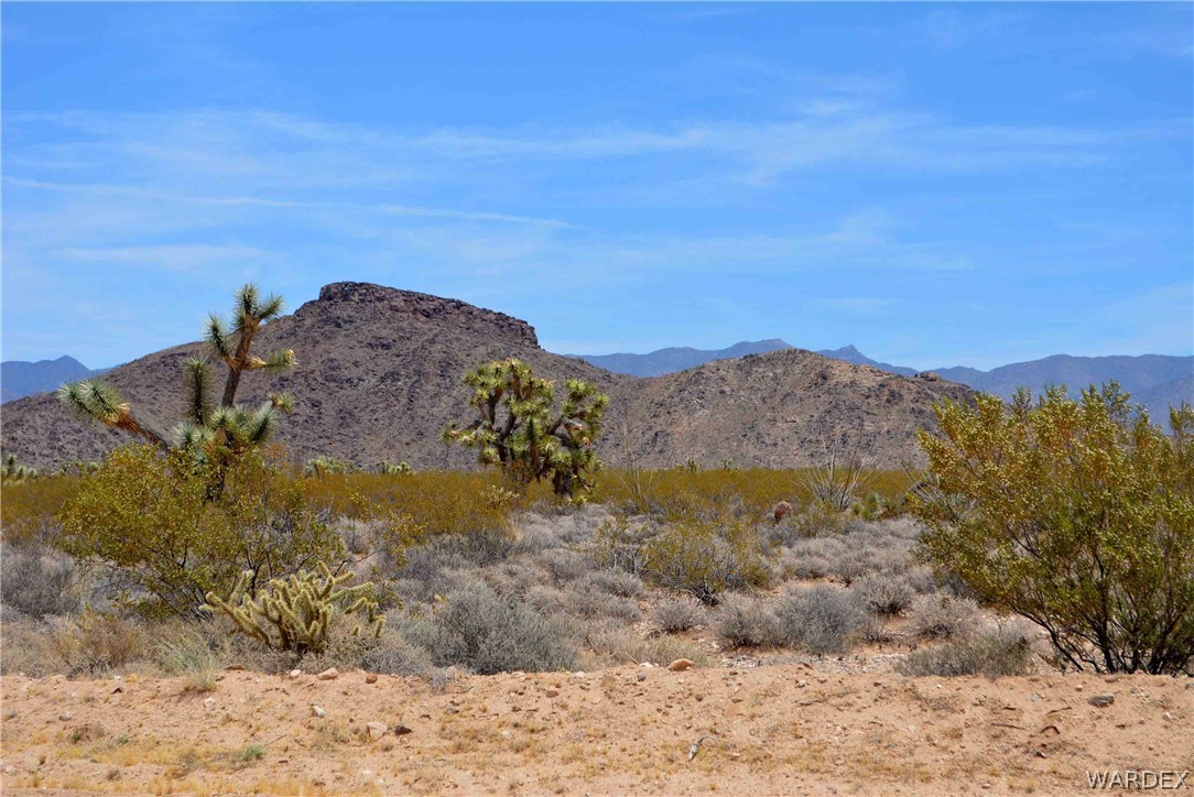3421 South Butch Cassidy Road Yucca, AZ 86438 - Photo 1 of 35 a view of a yard with a mountain