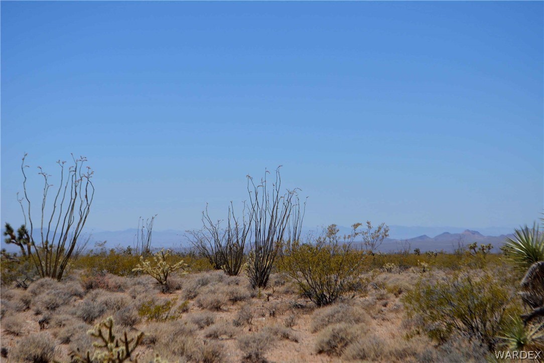 3421 South Butch Cassidy Road Yucca, AZ 86438 - Photo 11 of 35 a view of a field with a tree in the background