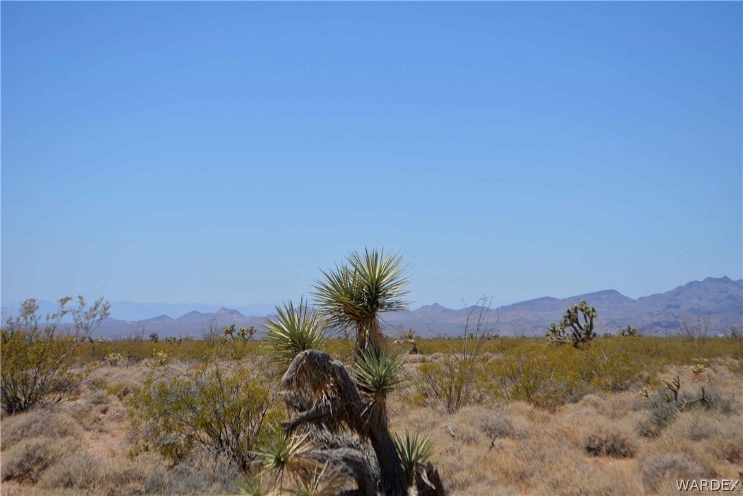 3421 South Butch Cassidy Road Yucca, AZ 86438 - Photo 12 of 35 a view of a sky