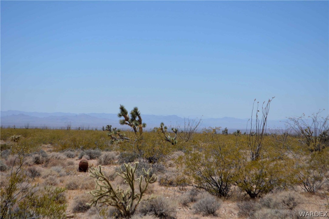 3421 South Butch Cassidy Road Yucca, AZ 86438 - Photo 18 of 35 a view of a beach