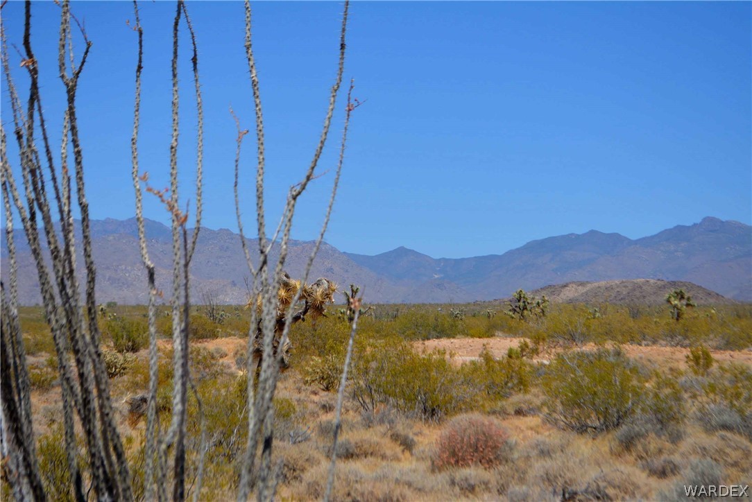3421 South Butch Cassidy Road Yucca, AZ 86438 - Photo 29 of 35 a view of a lake with a mountain in the background