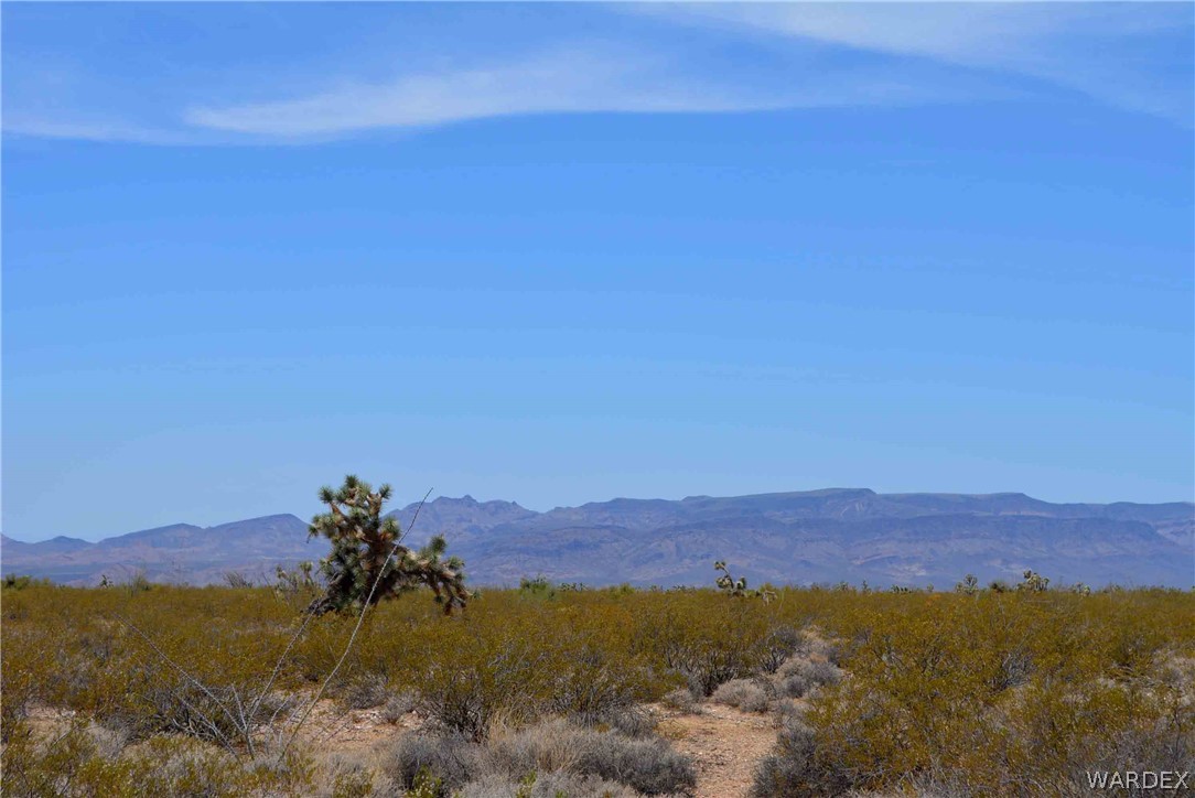 3421 South Butch Cassidy Road Yucca, AZ 86438 - Photo 6 of 35