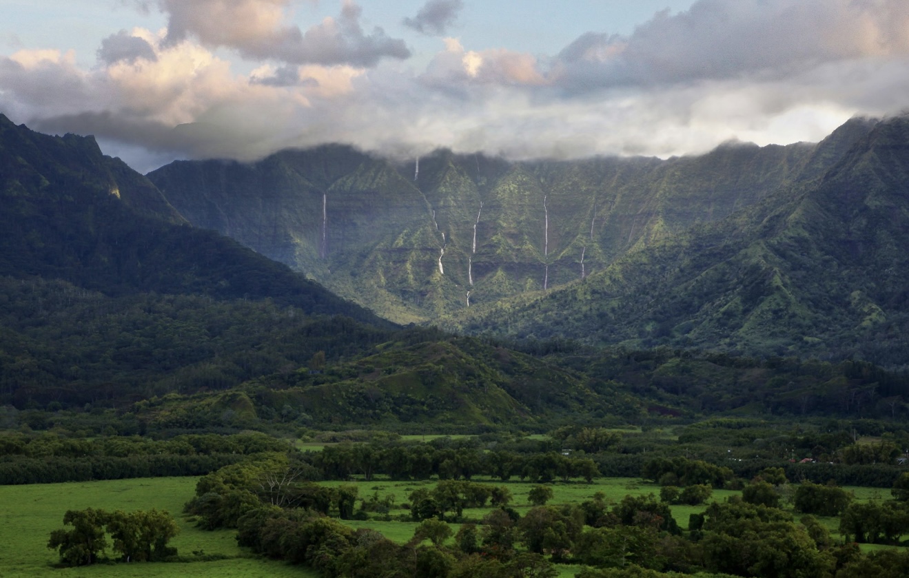 5181 Hanalei Plantation Road Princeville, HI 96722 - Photo 13 of 14 a view of a back yard