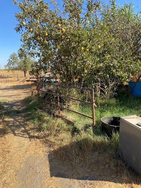 6924 Healy Road Merced, CA 95341 - Photo 21 of 28 Gallery Image 21