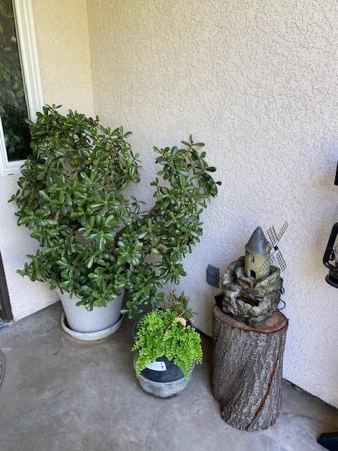 6924 Healy Road Merced, CA 95341 - Photo 4 of 28 Gallery Image 4