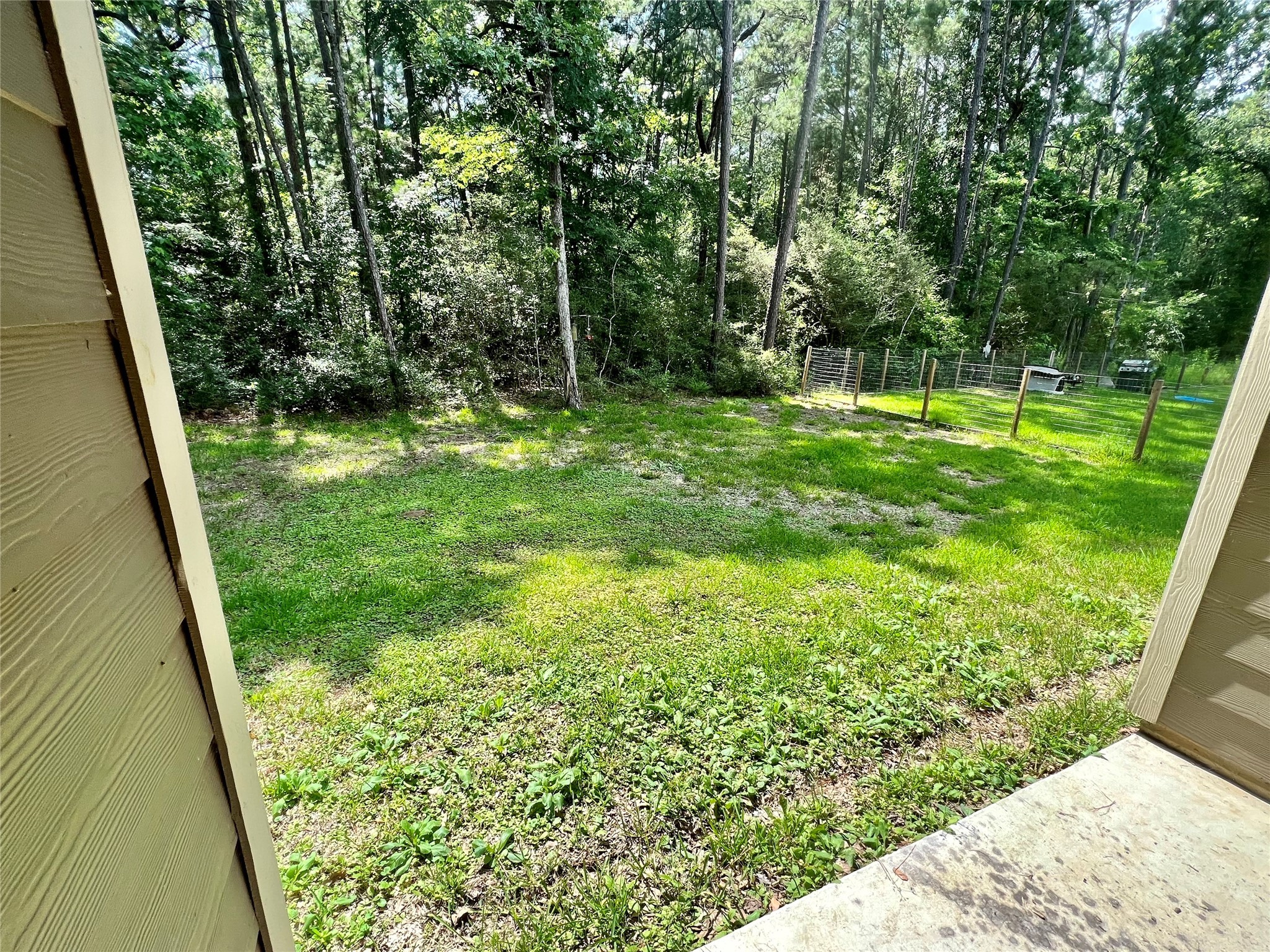 15887 Pecan Drive Montgomery, TX 77356 - Photo 11 of 11 a view of backyard with green space