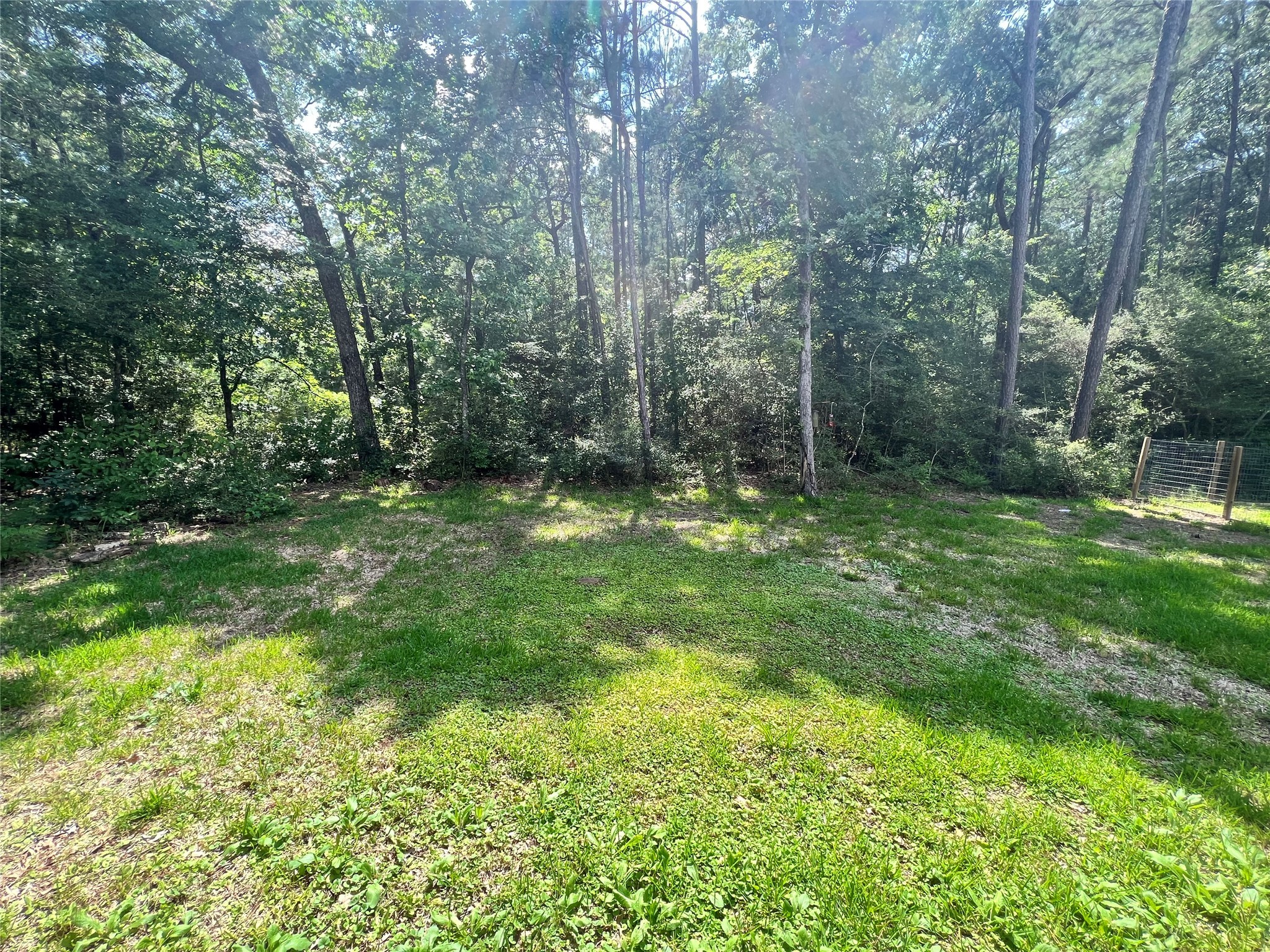 15887 Pecan Drive Montgomery, TX 77356 - Photo 10 of 11 a big yard with lots of green space and deers