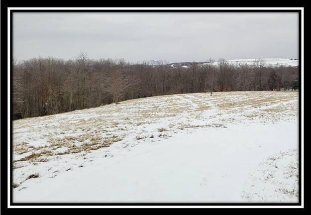 0 Number 12 Hollow Road Wellston, OH 45692 - Photo 34 of 45 image034