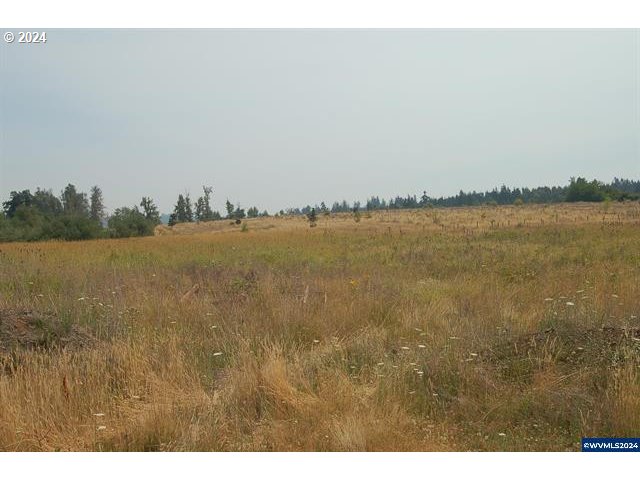 Monitor Road Silverton, OR 97381 - Photo 4 of 4 Gallery Image 4