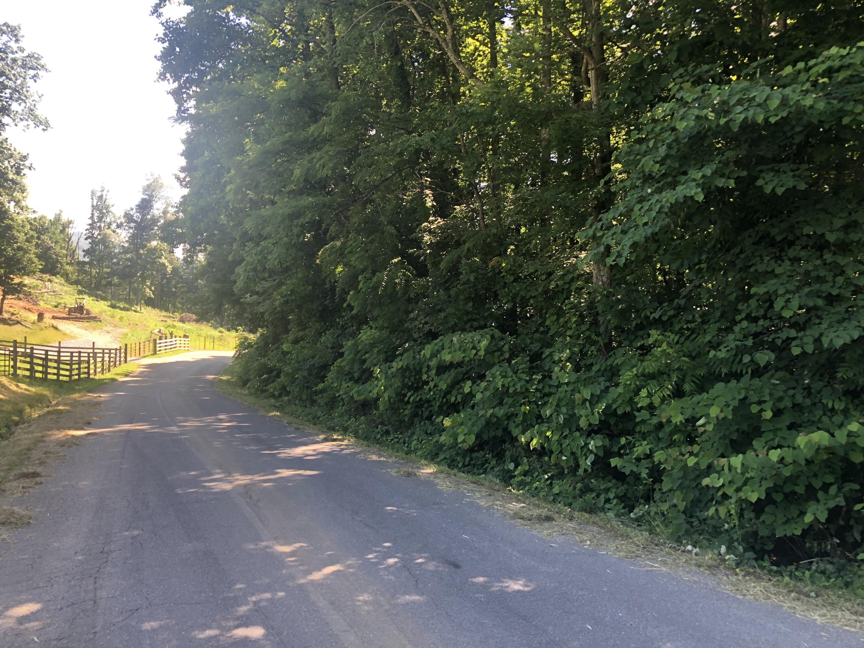 Tbd Brown Road Elizabethton, TN 37643 - Photo 3 of 8 A4C6961E-D8EB-4CDE-8A6D-77997E6EABC9