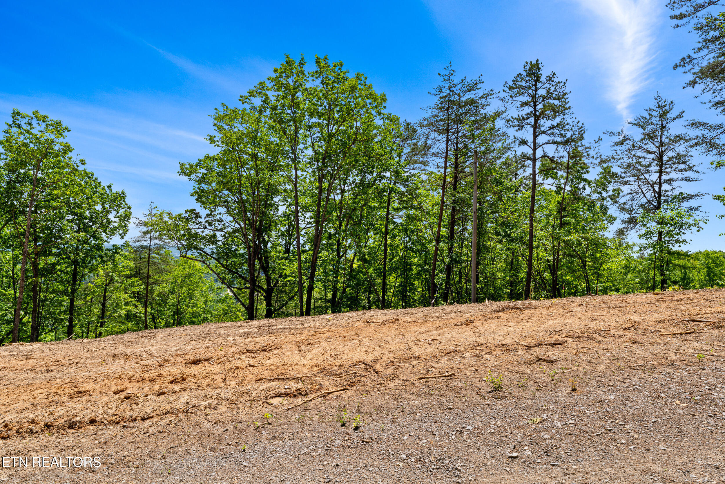 394 Ridgewood Road Harriman, TN 37748 - Photo 11 of 29 394 ridgewood rd-46
