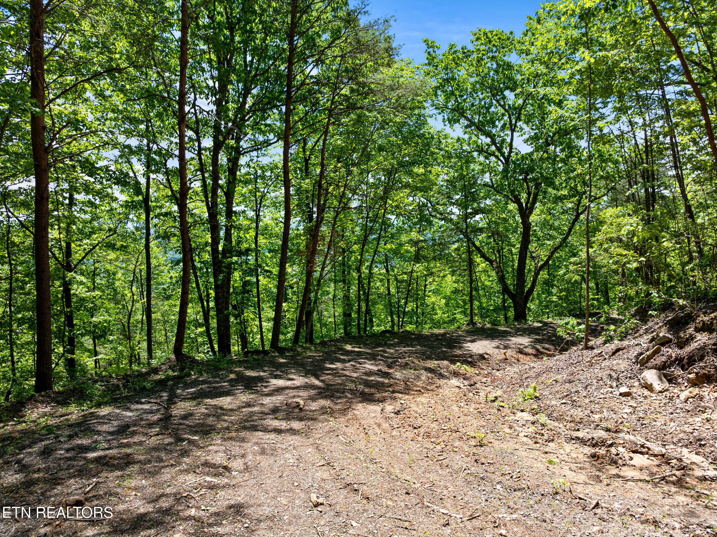 394 Ridgewood Road Harriman, TN 37748 - Photo 14 of 29 394 ridgewood rd-49