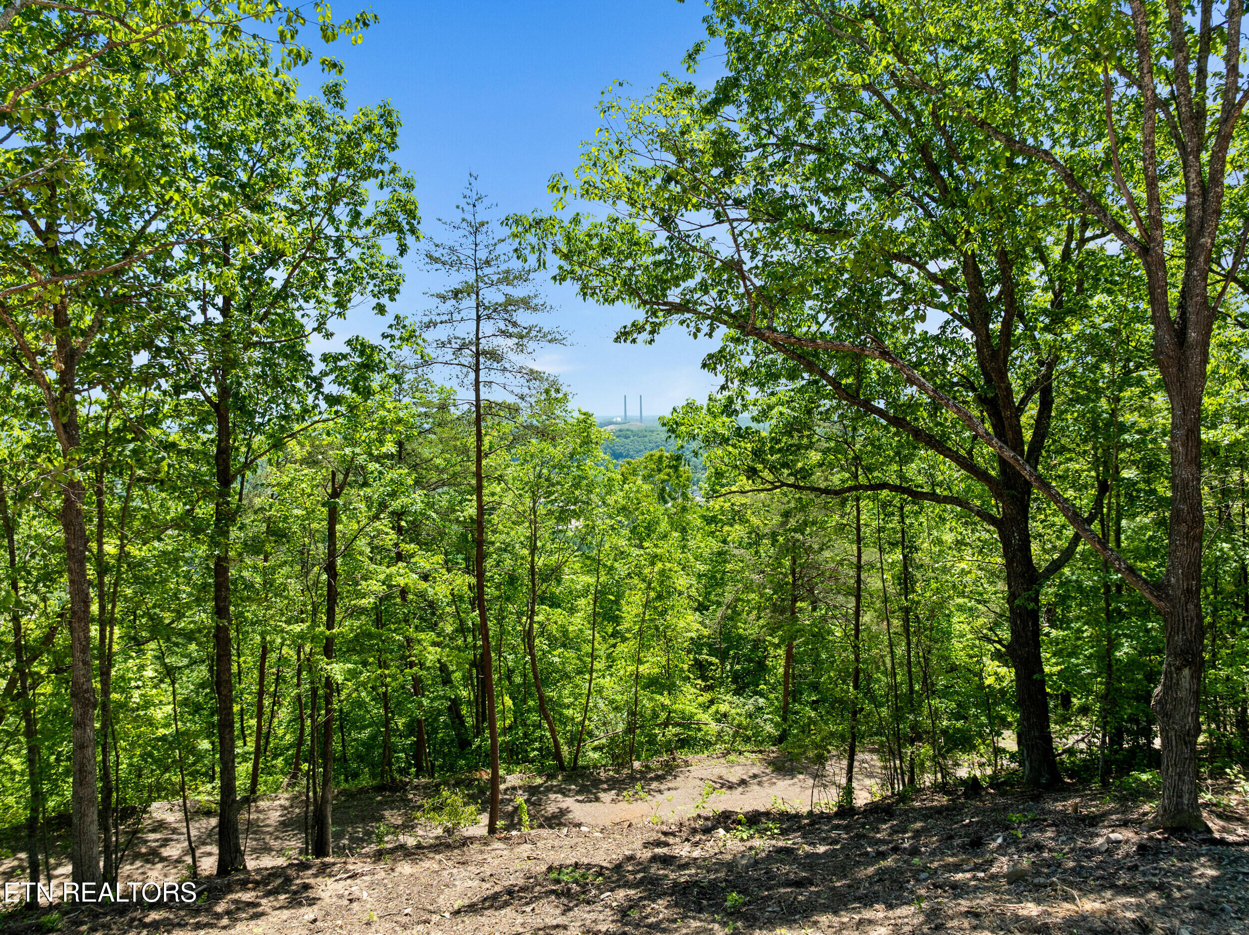 394 Ridgewood Road Harriman, TN 37748 - Photo 16 of 29 394 ridgewood rd-51