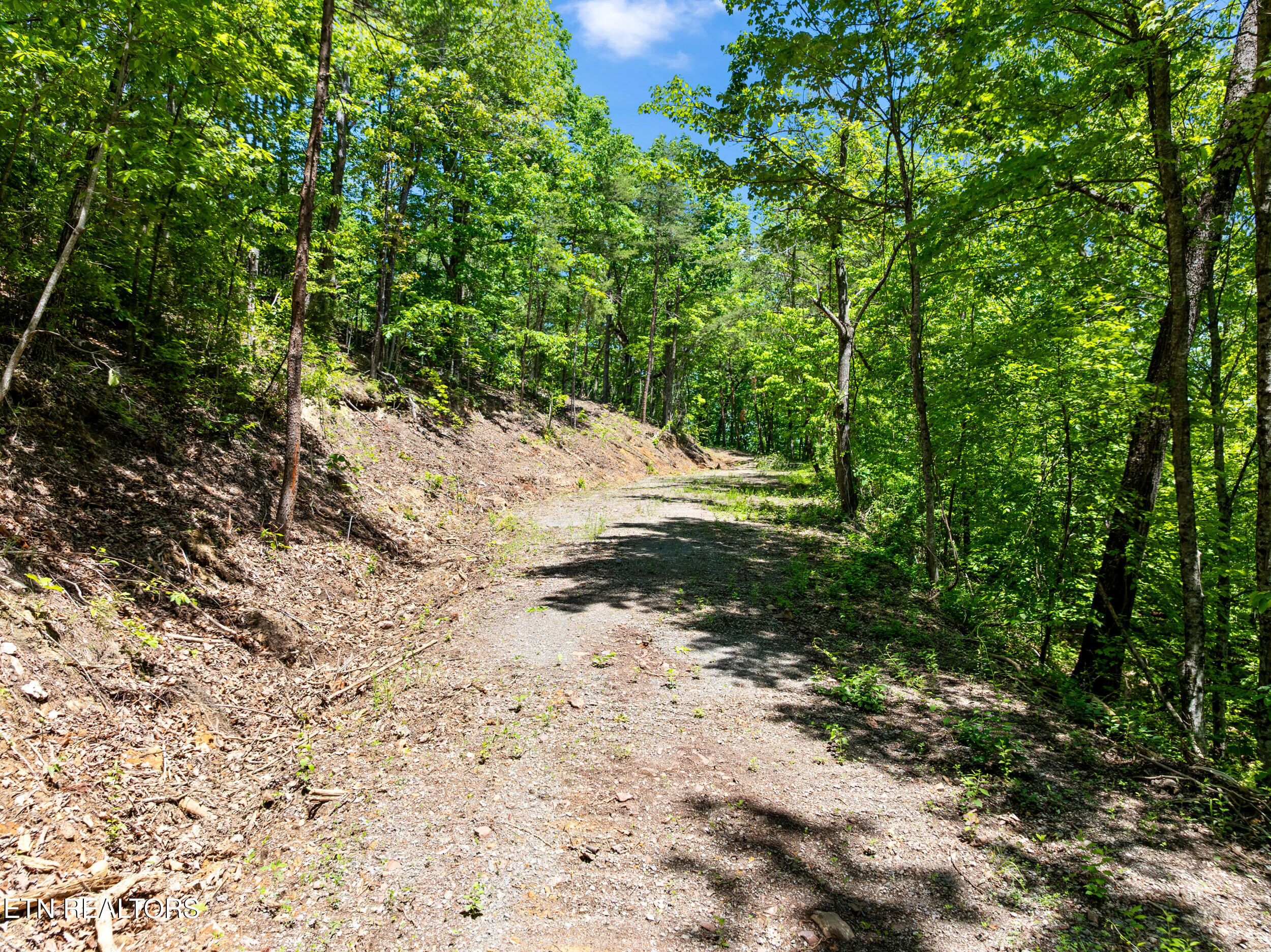 394 Ridgewood Road Harriman, TN 37748 - Photo 18 of 29 394 ridgewood rd-53