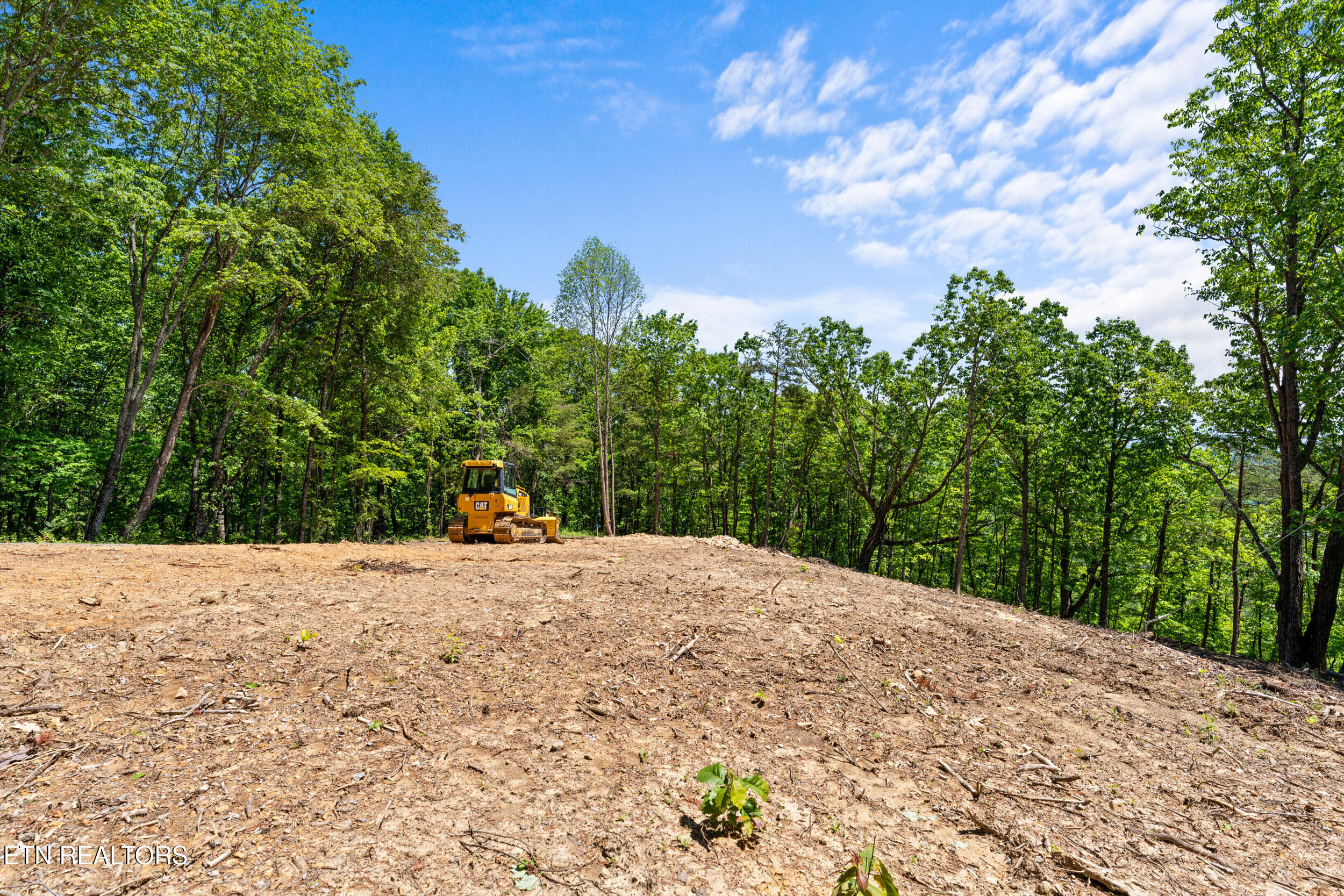 394 Ridgewood Road Harriman, TN 37748 - Photo 6 of 29 394 ridgewood rd-41