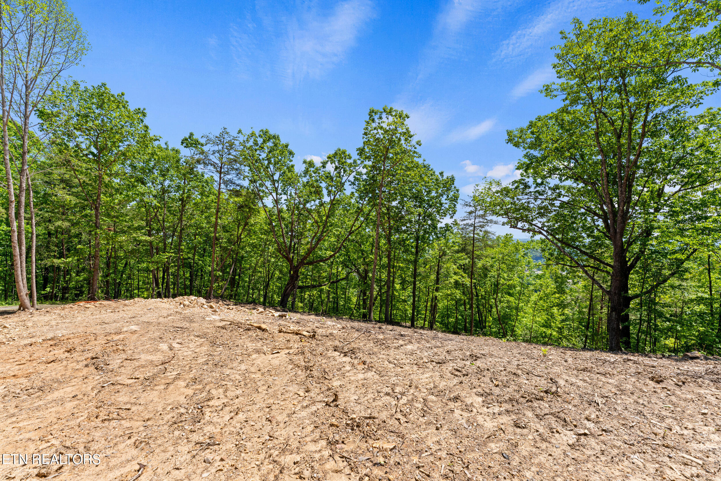394 Ridgewood Road Harriman, TN 37748 - Photo 7 of 29 394 ridgewood rd-42