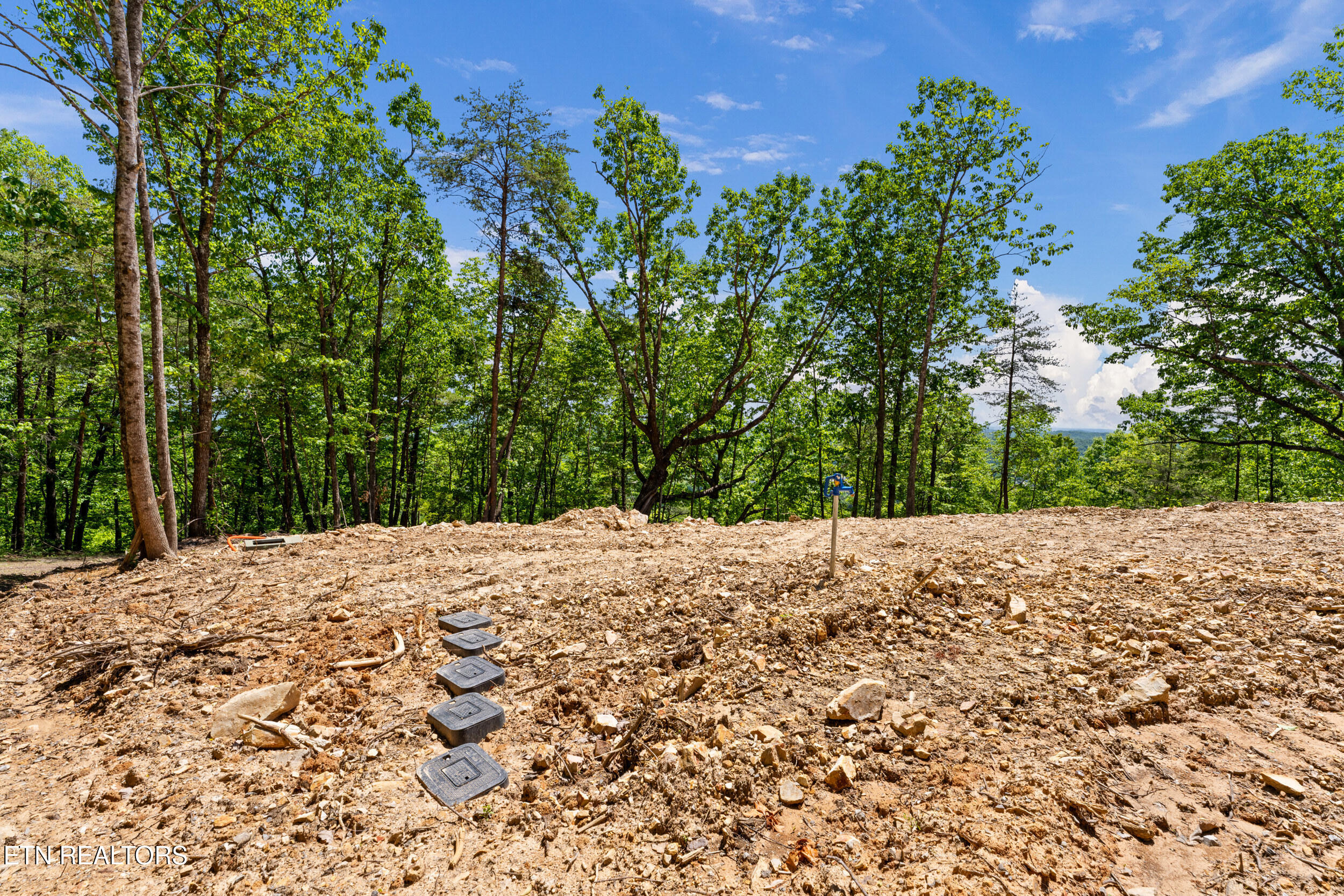 394 Ridgewood Road Harriman, TN 37748 - Photo 8 of 29 394 ridgewood rd-43