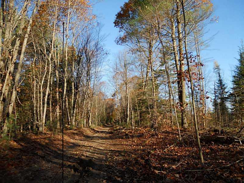 368 Farrand Hill Road Canton, ME 04221 - Photo 25 of 26 Other. Road leading into the camp