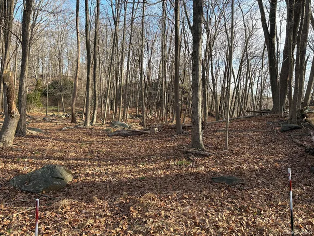 a view of outdoor space with trees