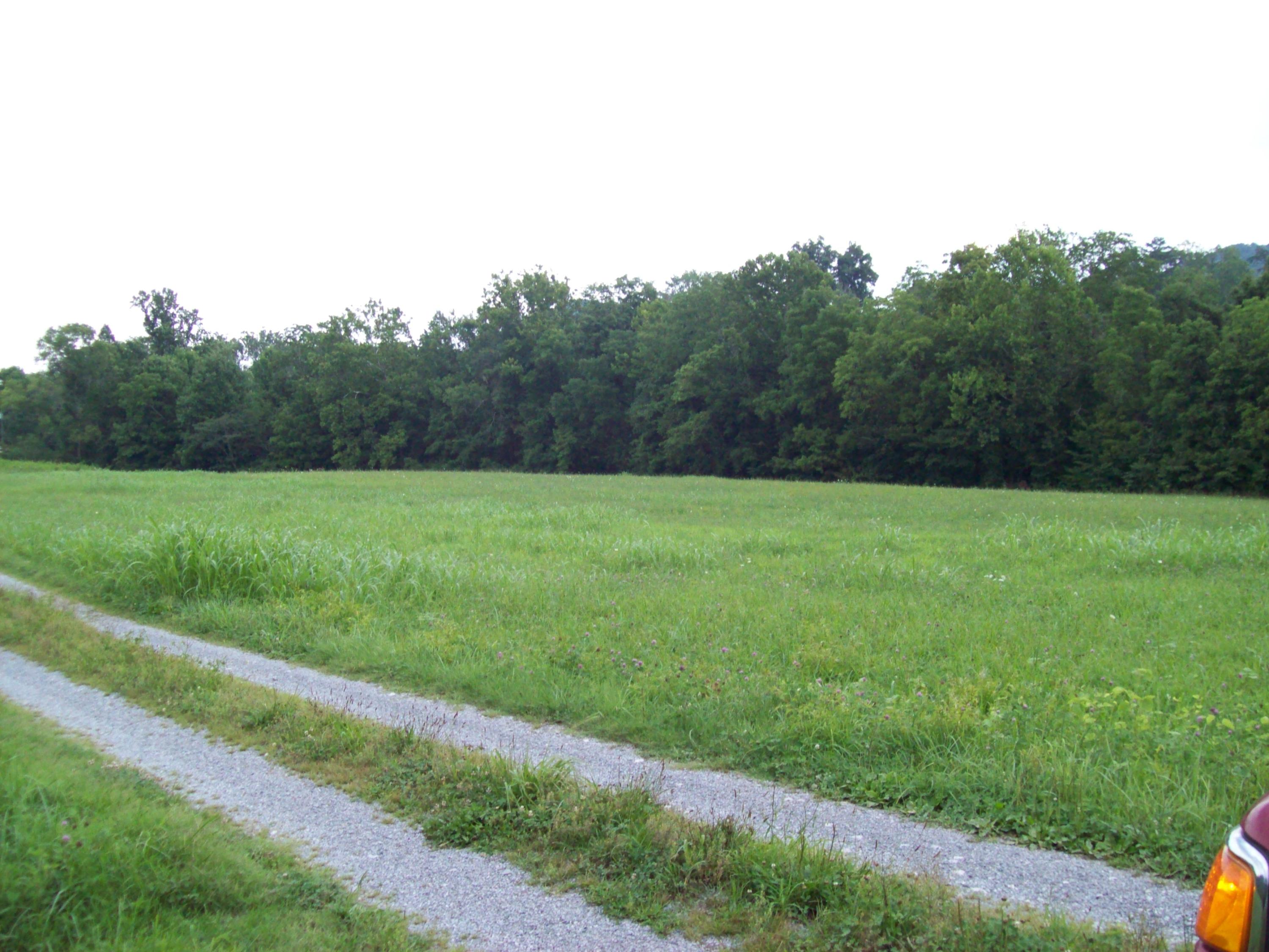 149 Prospect Road Maynardville, TN 37807 - Photo 6 of 18 101_3048