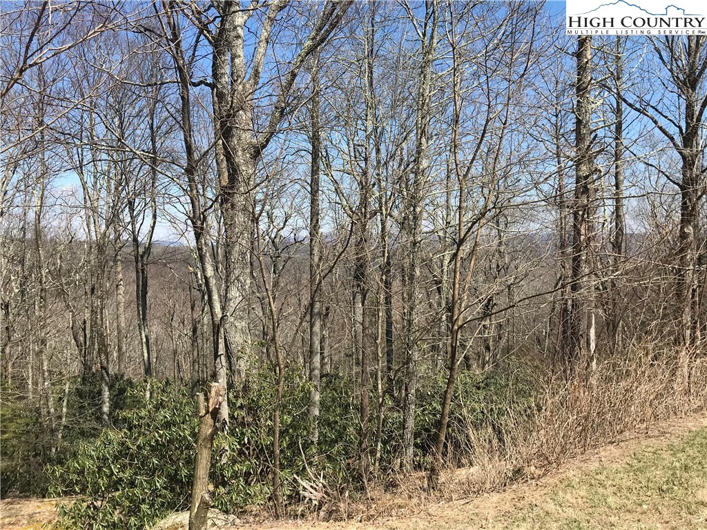 Lot 37 Hemlock Ridge Road Blowing Rock, NC 28605 - Photo 11 of 11 Gallery Image 11