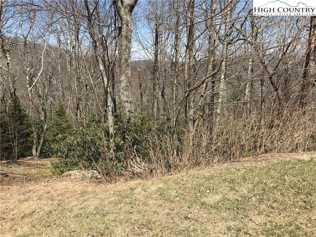 Lot 37 Hemlock Ridge Road Blowing Rock, NC 28605 - Photo 3 of 11 Gallery Image 3