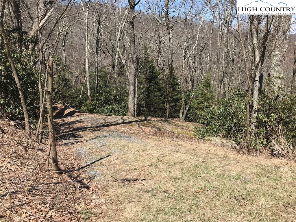 Lot 37 Hemlock Ridge Road Blowing Rock, NC 28605 - Photo 4 of 11 Gallery Image 4