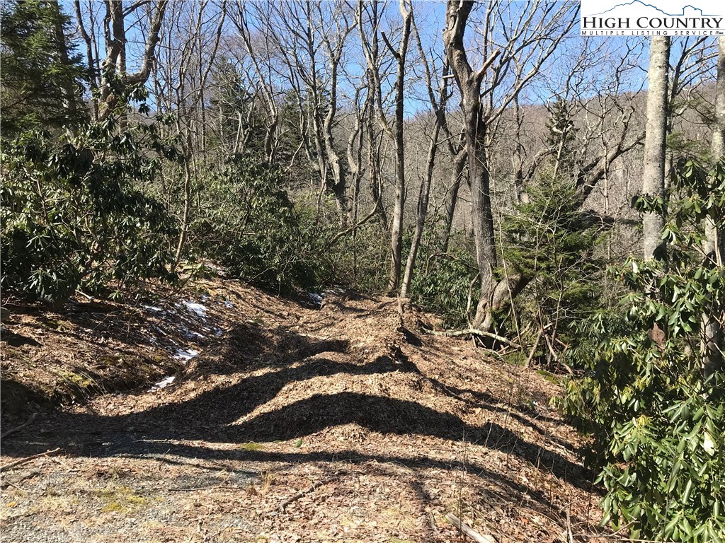 Lot 37 Hemlock Ridge Road Blowing Rock, NC 28605 - Photo 5 of 11 Gallery Image 5