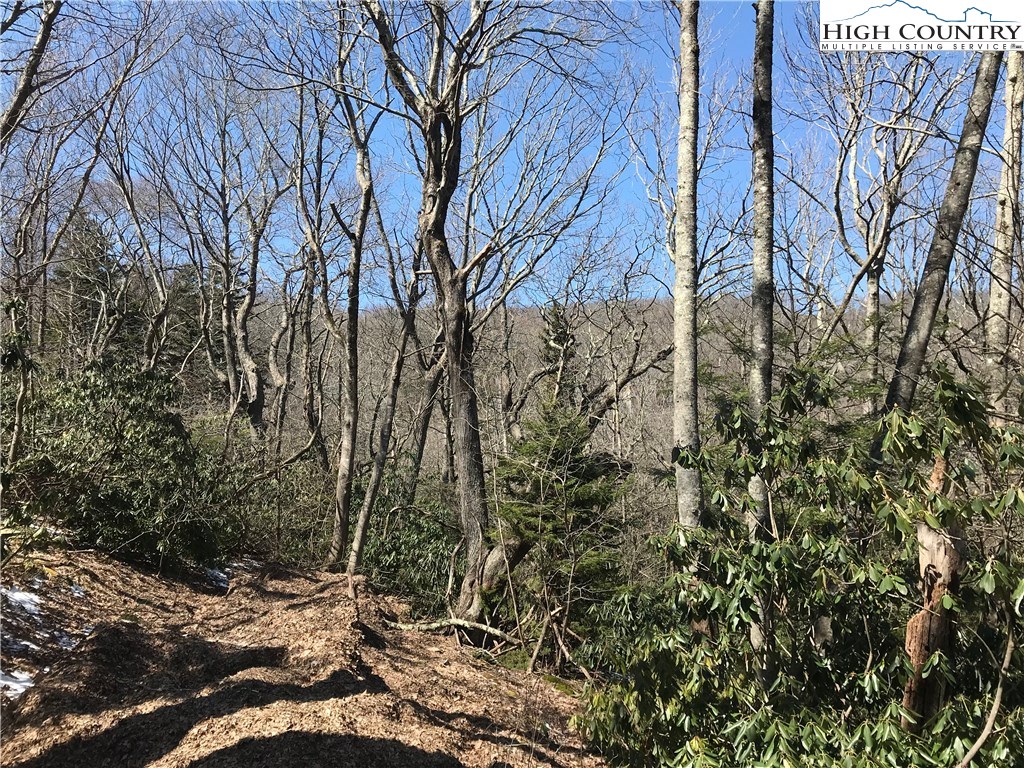 Lot 37 Hemlock Ridge Road Blowing Rock, NC 28605 - Photo 6 of 11 Gallery Image 6