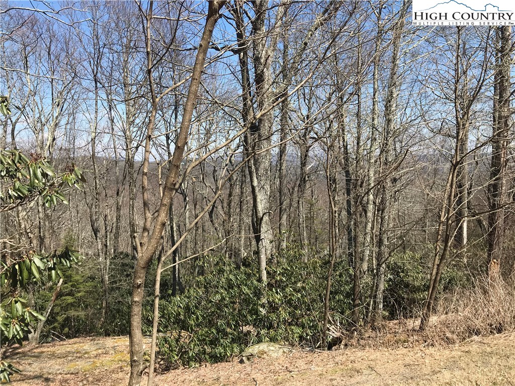 Lot 37 Hemlock Ridge Road Blowing Rock, NC 28605 - Photo 7 of 11 Gallery Image 7