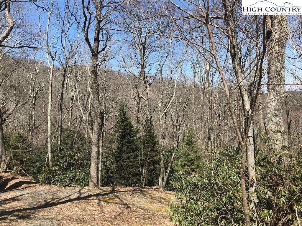 Lot 37 Hemlock Ridge Road Blowing Rock, NC 28605 - Photo 8 of 11 Gallery Image 8