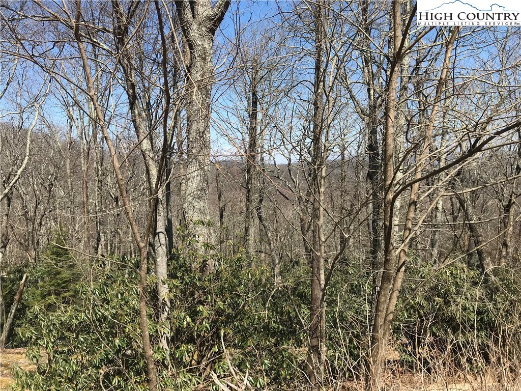 Lot 37 Hemlock Ridge Road Blowing Rock, NC 28605 - Photo 9 of 11 Gallery Image 9