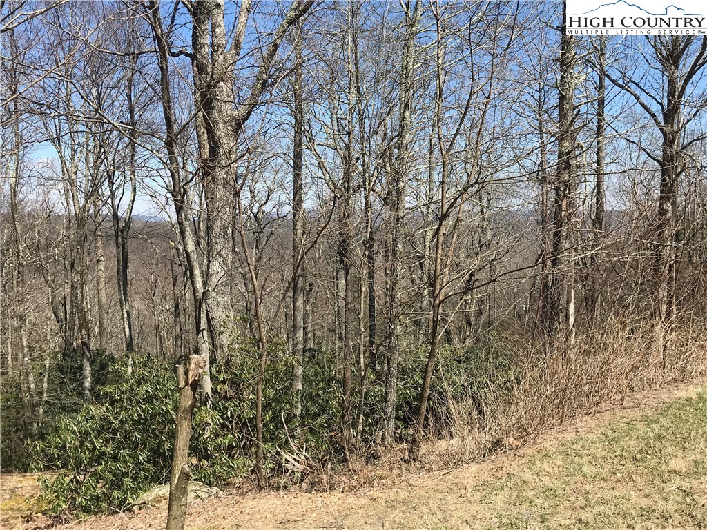 Lot 37 Hemlock Ridge Road Blowing Rock, NC 28605 - Photo 10 of 11 Gallery Image 10