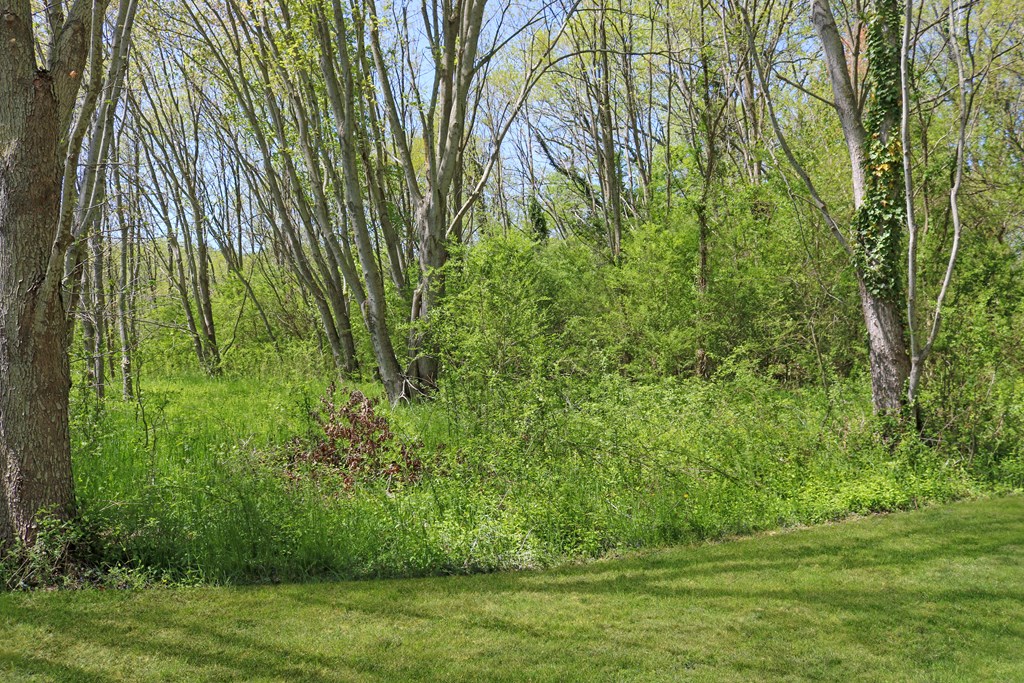 22622 Lee Mont Road Parksley, VA 23421 - Photo 7 of 26