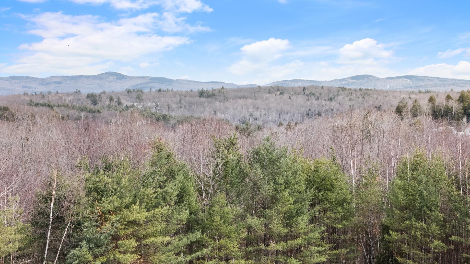 155 Top Of The World Road Grantham, NH 03753 - Photo 44 of 50