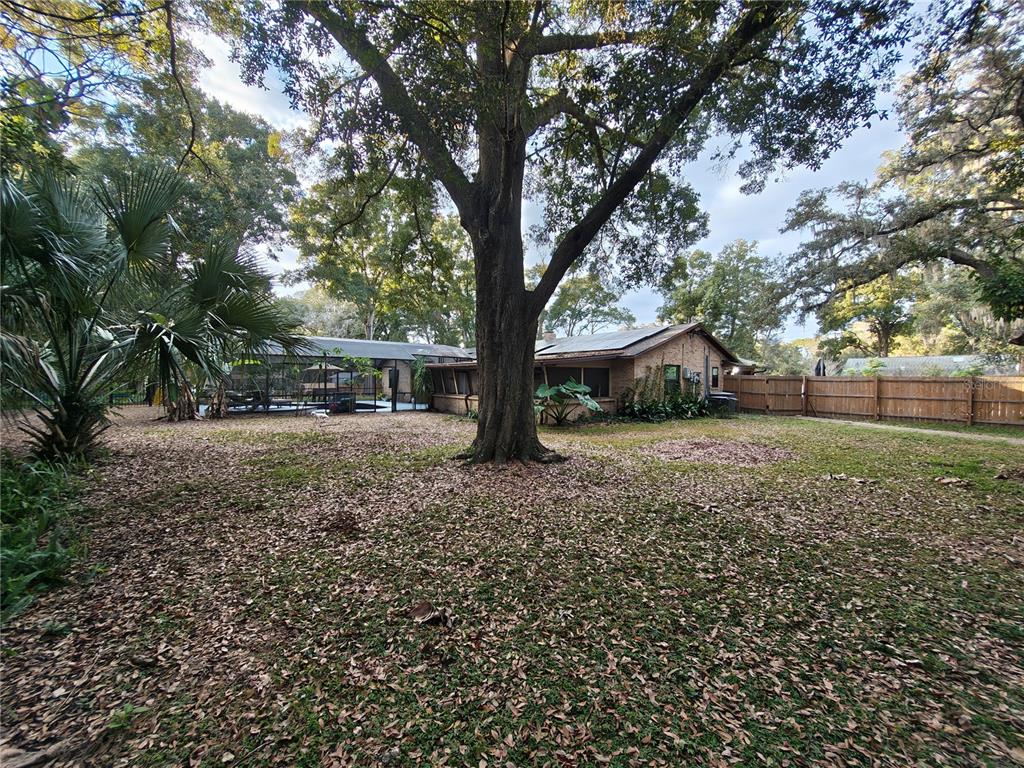 820 North Wekiwa Springs Road Apopka, FL 32712 - Photo 23 of 51 a view of outdoor space with deck and tree
