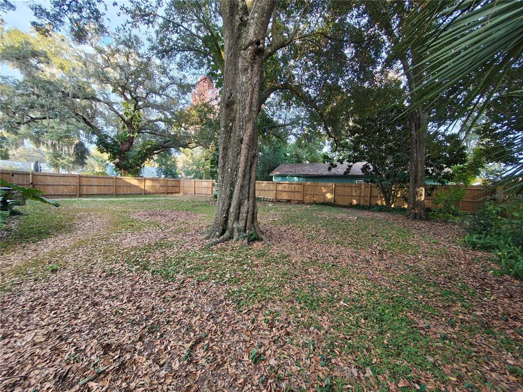 820 North Wekiwa Springs Road Apopka, FL 32712 - Photo 24 of 51 a view of outdoor space with trees