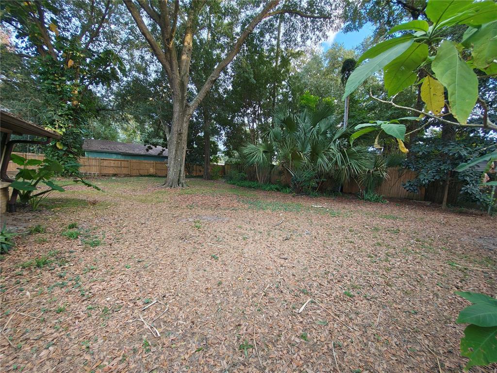 820 North Wekiwa Springs Road Apopka, FL 32712 - Photo 25 of 51 a view of backyard with green space