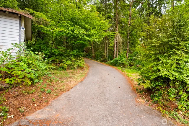 a view of a backyard