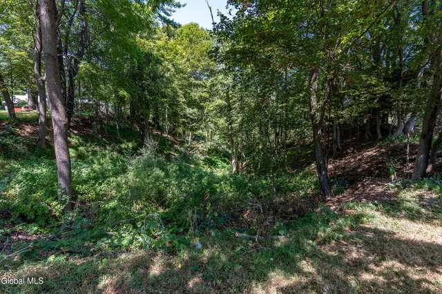 $525,000 | 17 Morningside Drive, Bethlehem, NY 12054