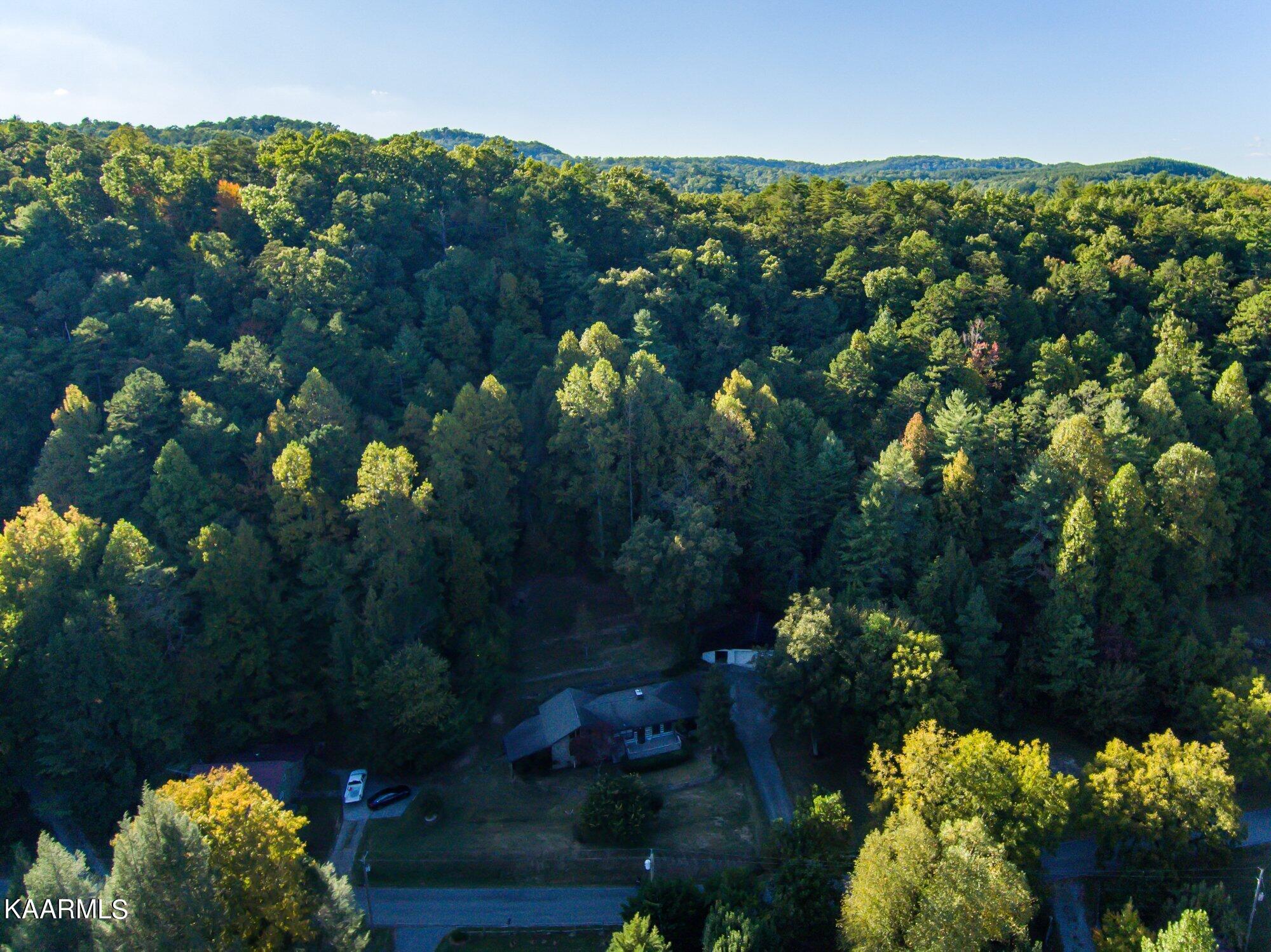 2256 Citico Road Vonore, TN 37885 - Photo 26 of 36 2256-Citico-Rd-Vonore-TN-44
